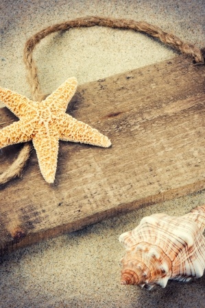 starfish